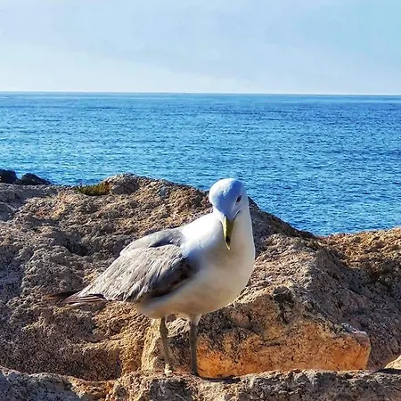 Apartmán Comodo Cerca Del Mar Santa Pola
